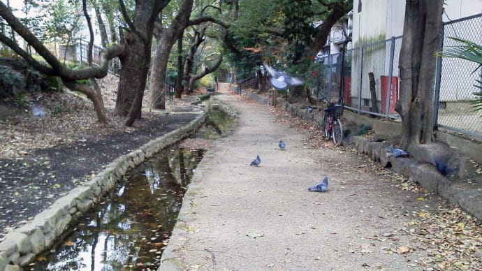 京都検定!