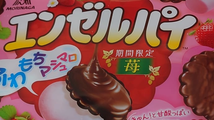 おにぎり忘れた…
