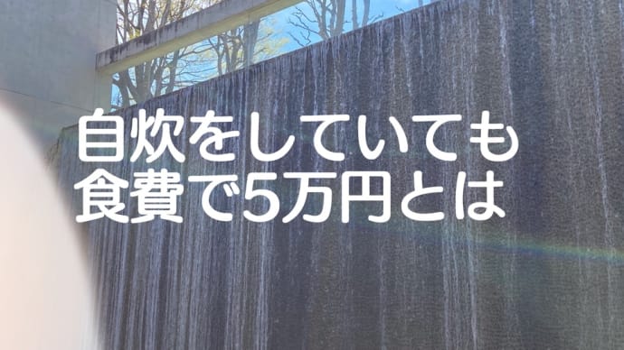 4月期家計簿の食費がエグい