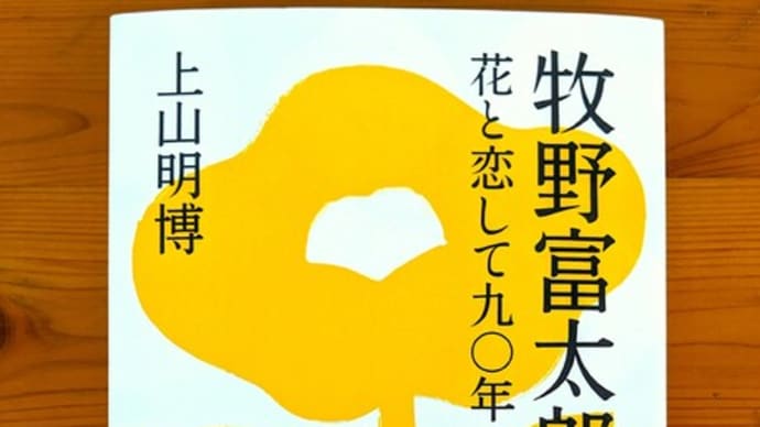 待望の新刊見本『牧野富太郎:花と恋して九〇年』が届く❗
