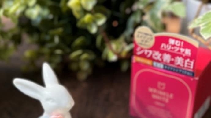 プチプラなのに超優秀な保湿クリーム~薬用リンクルホワイト クリーム