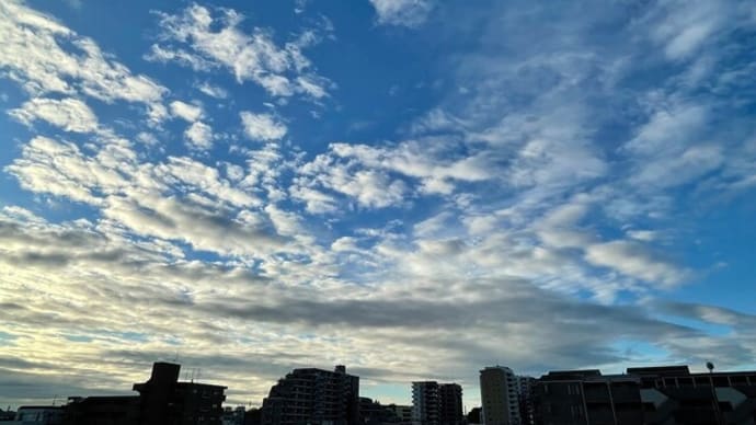 今のところ加湿は足りている?