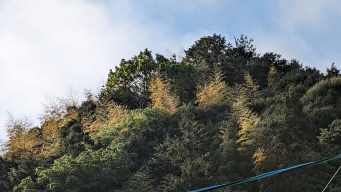 黒龍様の言葉 宮島へ行って参りました part11