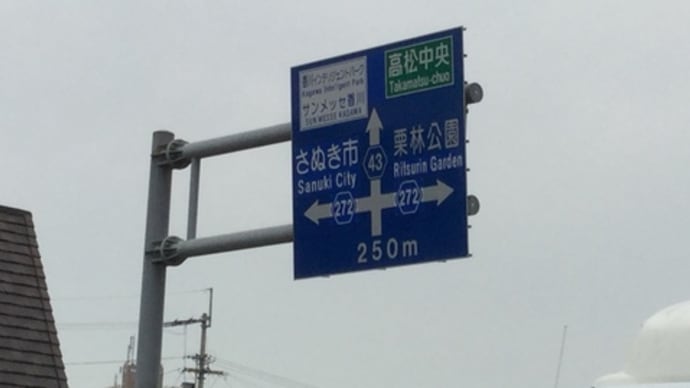 【こだわりの苗】アイスプラントもう収穫時期!(◎_◎;)こんなに大きく育ち幸せな職業❣️