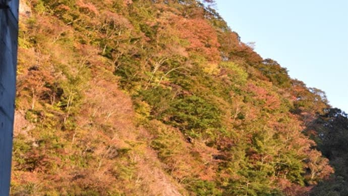 ドライブ 袋田の滝 吊り橋観瀑台から見上げる滝 10
