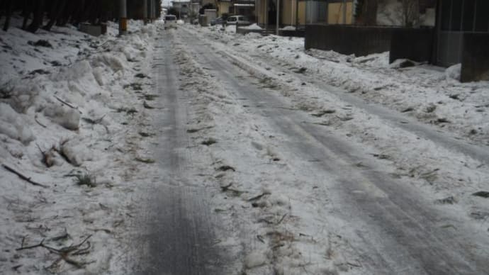 暴風後の松林付近の道路