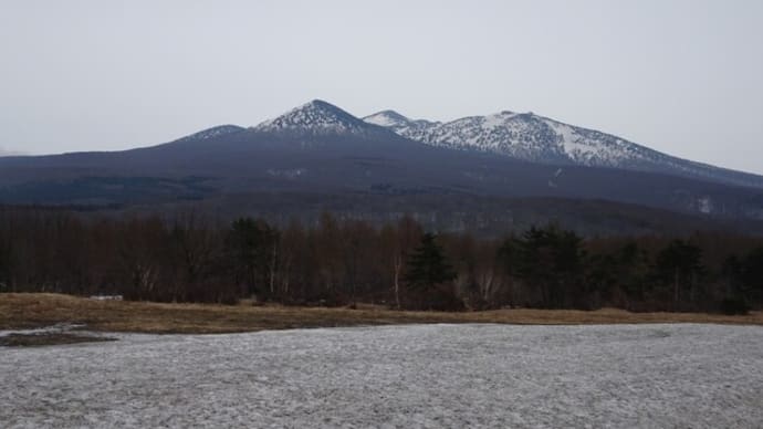 4月の八甲田山麓