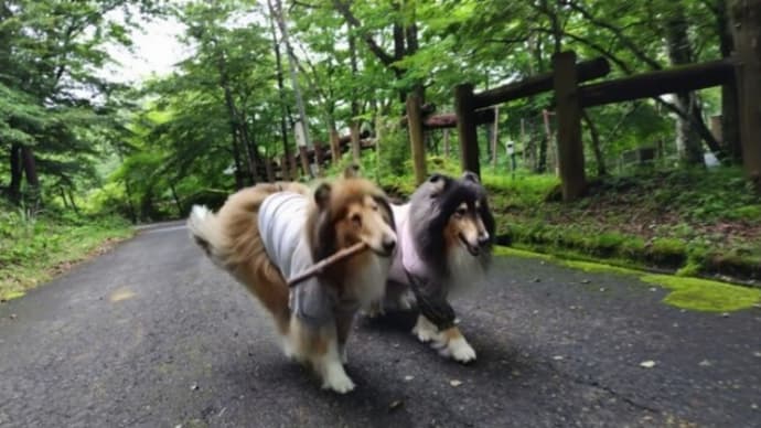 お山でにこにこ🙌
