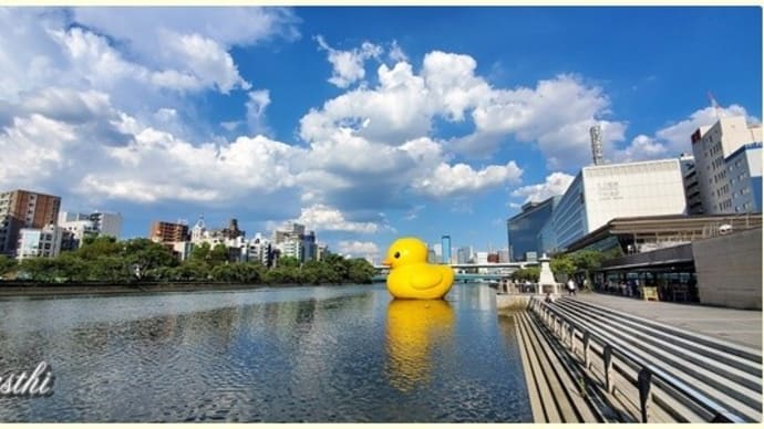 大阪　天満橋　ラバーダック