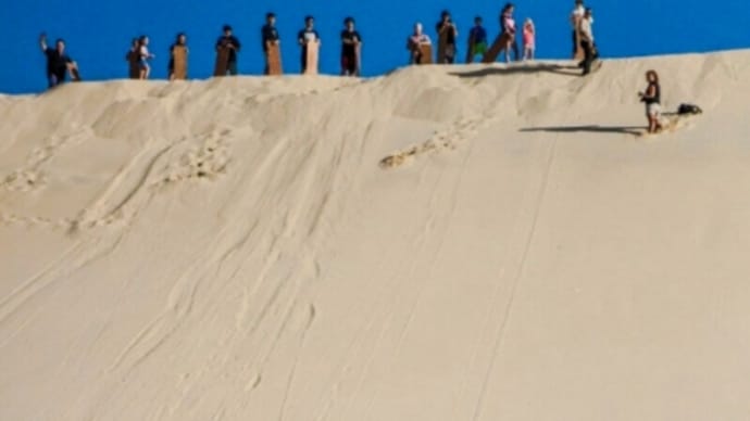デザート・サファリツアー(Desert Safari Tour)