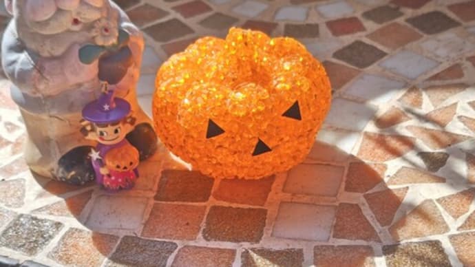 神無月〆。ハロウィンの花観察