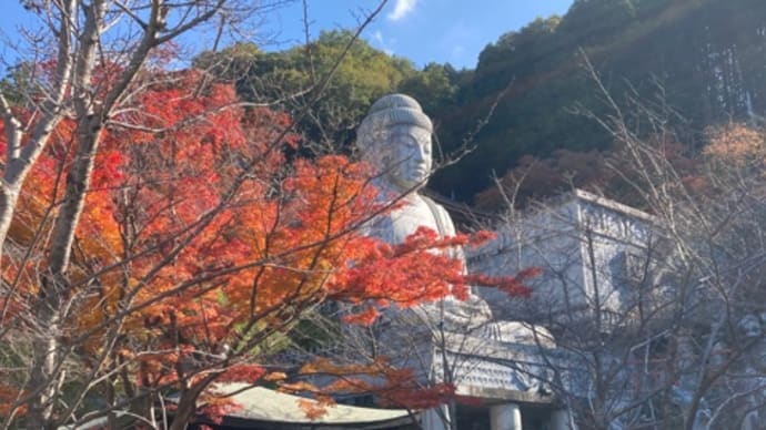 西国三十三所 壺阪寺