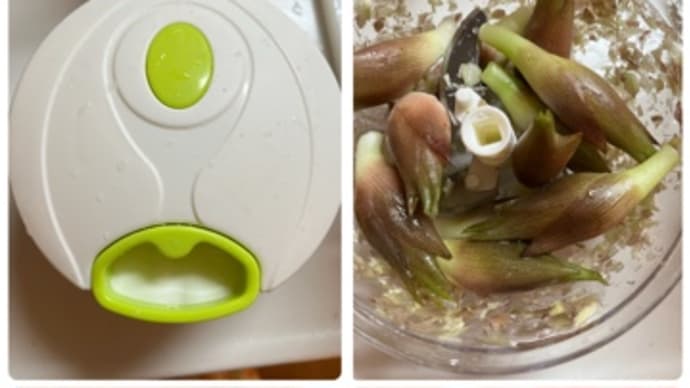 みじん切りで簡単ミョウガの醤油漬け