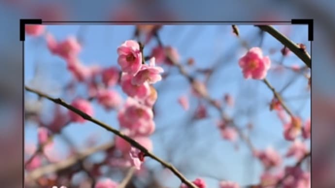 2月29日