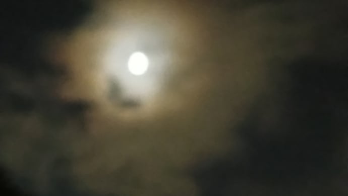 今日もへとへと、