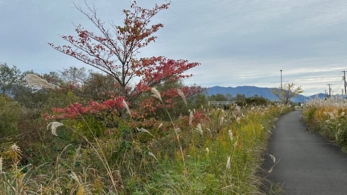 ウォーキング:能代川緑地周辺