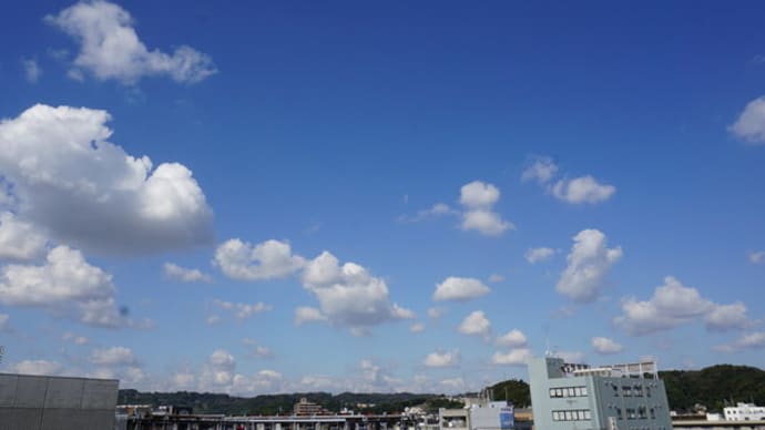 3回目カテアブ記録後21
