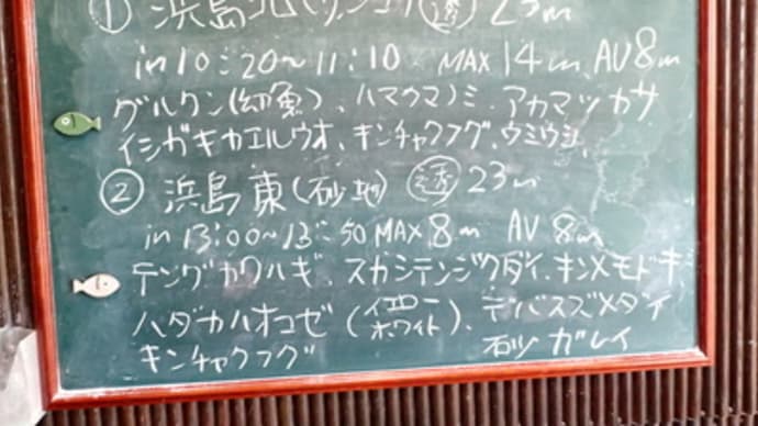 本日のダイビングログ
