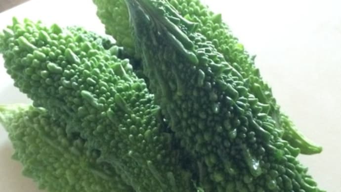 夏バテ知らずの夏野菜