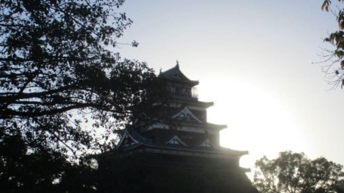 広島城のお堀に渡り鳥が飛来しています・・・元気で、とりあえず元気で！