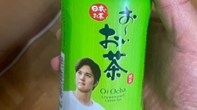 こんな靴下買いました