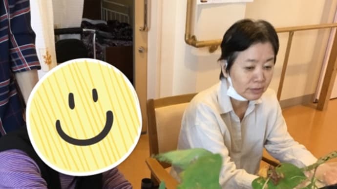 今年の芋は?!