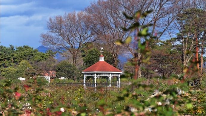 「敷島公園ばら園」内の 温室