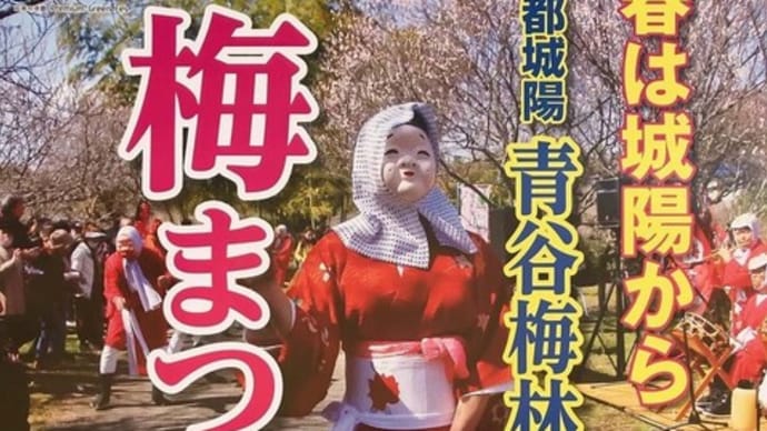 青谷梅林 (京都府 城陽市)