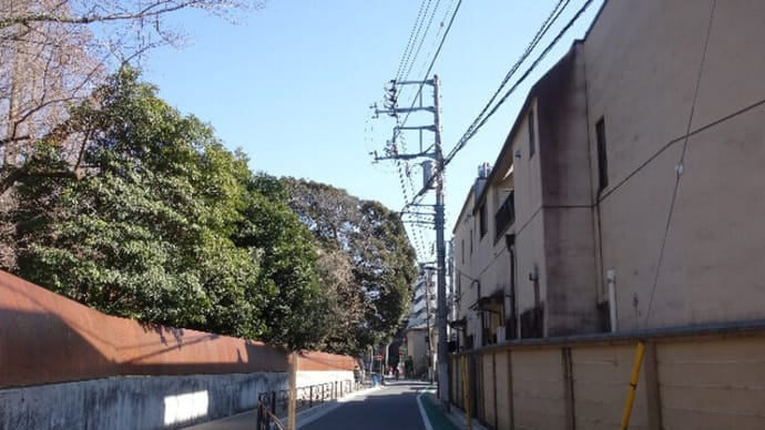 車谷長吉、『赤目四十八瀧心中未遂』の風景;狂女との邂逅場所 東京 小石川植物園の通り