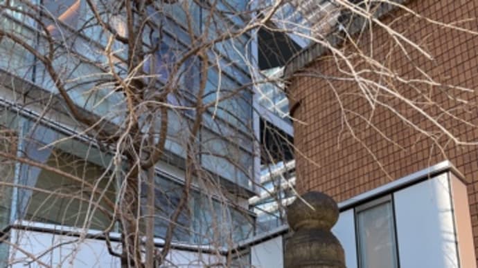 銀座散歩2