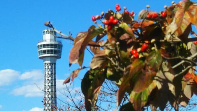 「BALLADE」俺の街編の余韻でハマ散歩④アメリカ山公園