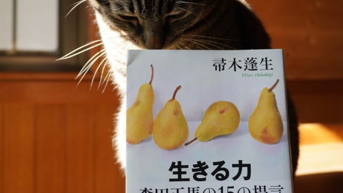 読書記録 自分用 2021年