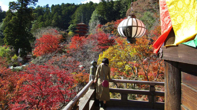 奈良・長谷寺の紅葉