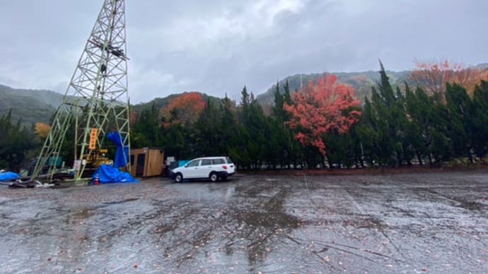 野坂屋旅館別邸わんこ日和の紅葉