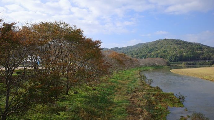 白竜湖グリーンマラソン大会に行ってきました。