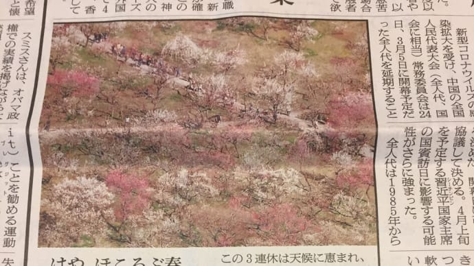 梅まつり