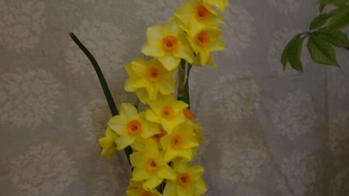 季節の花
