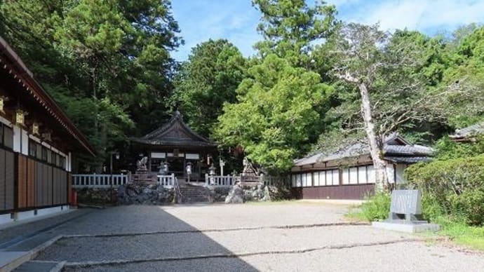 ２０３０、毎月おついたちは、地元の氏神様、吉御子神社へお参りから始まります。一枚板と木の家具の専門店エムズファニチャーです。