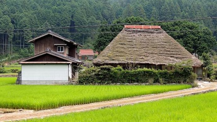 431/久しぶりの茅葺き家屋~
