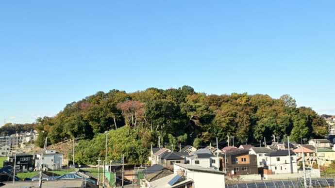 11月20日 一ヶ月ぶりの通院日。