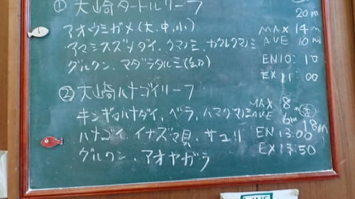 本日のダイビングログ