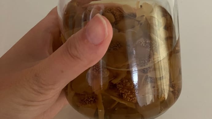 どくだみ化粧水作った