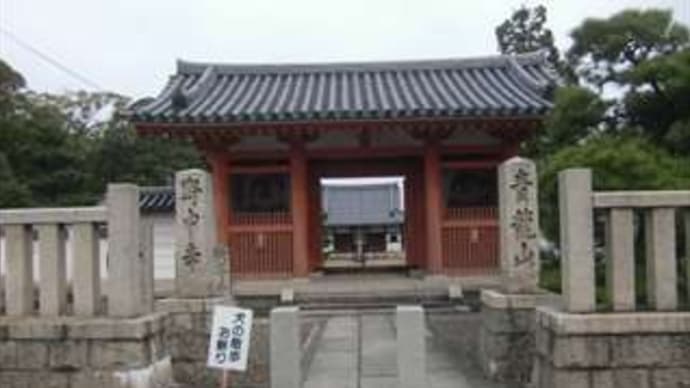 野中寺（やちゅうじ）～中之太子～ in 大阪府羽曳野市