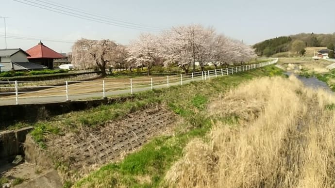 栃木県の寺社 栃木市都賀町富張 長福寺