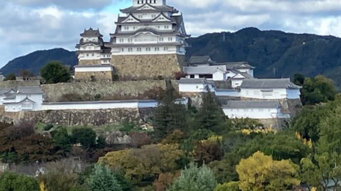 クレカの被害者がほかにもいた 不安な気持ち