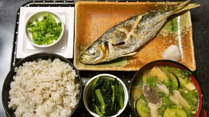 家で朝ご飯(押麦ご飯にアジの塩焼き、納豆、ヒラタケとズッキーニの味噌汁、野沢菜漬)(2022年6月6日)