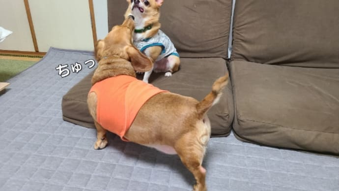 好きなんやもん❤️