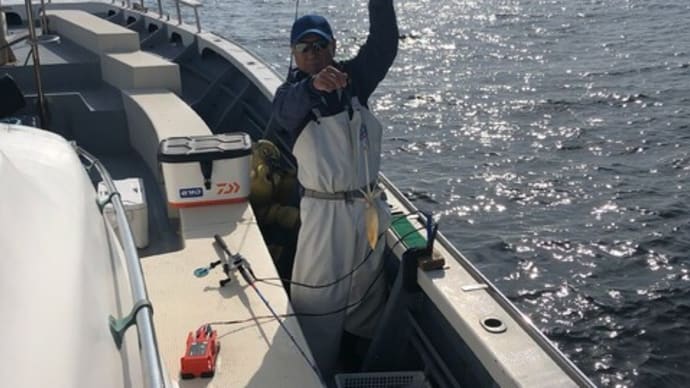 浅場はいますが今は80mで7連チャン。