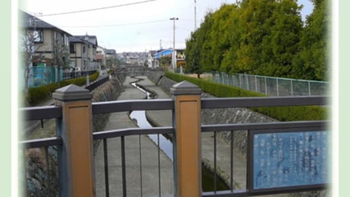 多賀城市を紹介