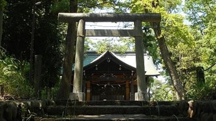 【note】大久保長安の聖地巡礼・八王子(2)-浅間神社・富士塚-